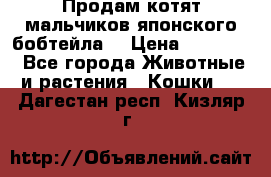 Продам котят мальчиков японского бобтейла. › Цена ­ 30 000 - Все города Животные и растения » Кошки   . Дагестан респ.,Кизляр г.